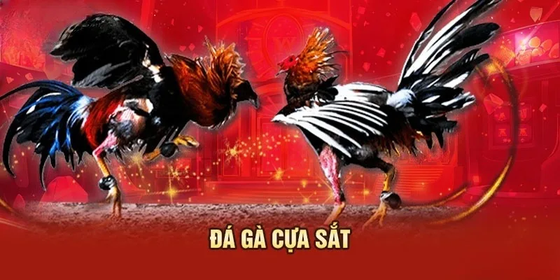 đá gà cựa sắt