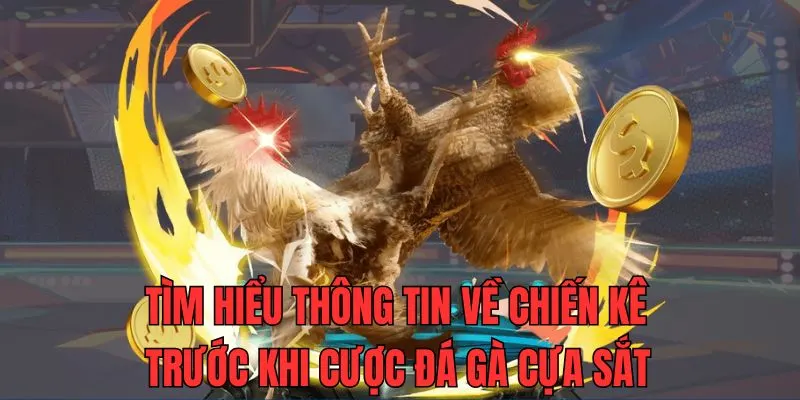 Cần nắm chắc luật chơi của đá gà cựa sắt để lên chiến thuật